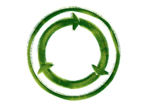 生物煉制 食物的另一個(gè)去向